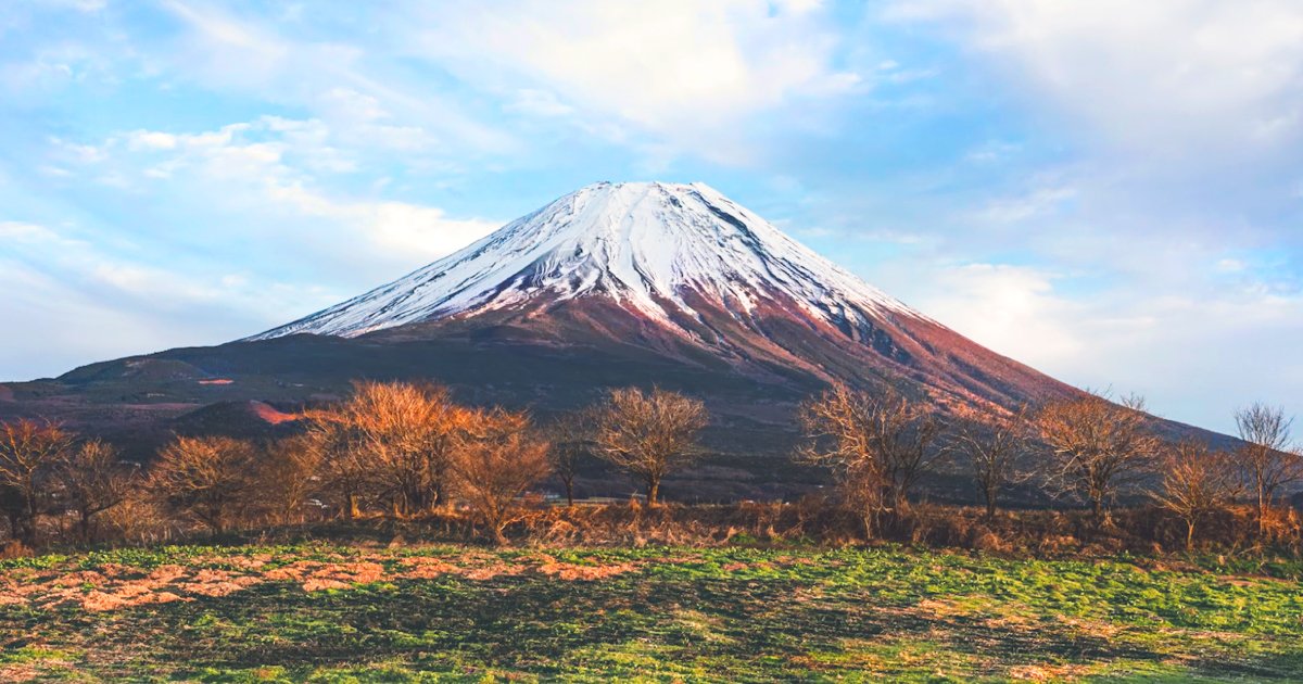 🌳 아카사카다이 종합공원 (드래곤 파크) 이미지 3